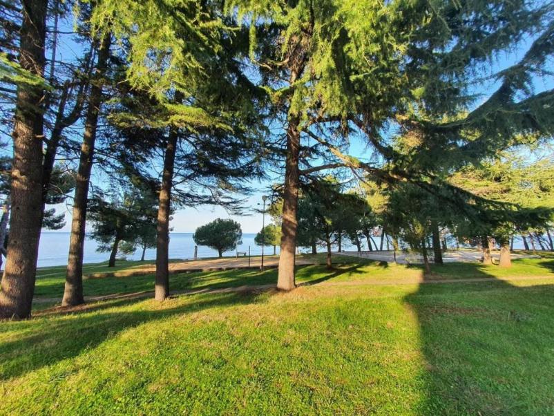 Affordable hostel Novigrad, Croatia