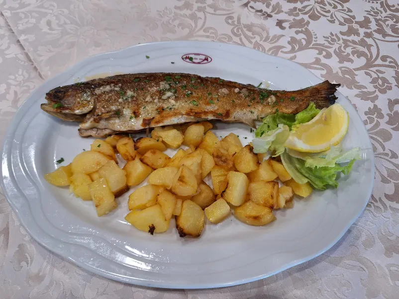 Ugodne dnevne malice in kosila Ljubljana