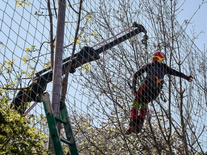 Delo na višini Gorenjska