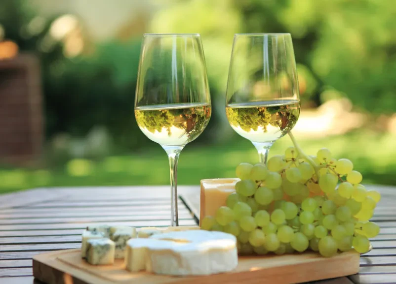 Degustacija vina Dobrovnik