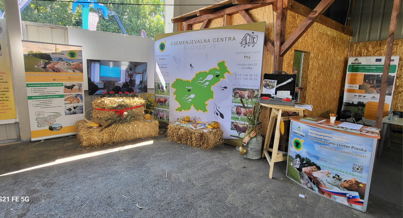 Semena bikov in kozlov