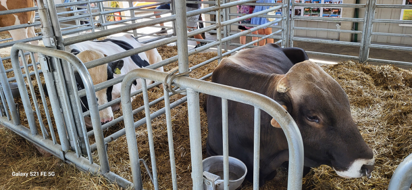 Osemenjevalni center