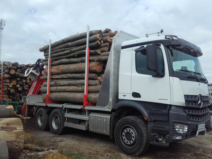 Kvalitetna lesna biomasa Slovenija