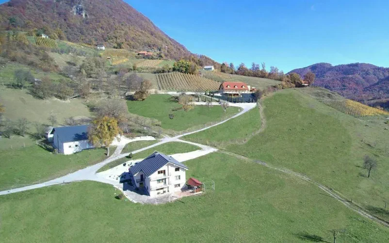 Prostor za poročna slavja Savinjska