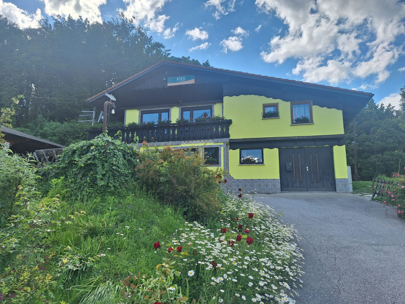 Najboljša ribja restavracija Brežice