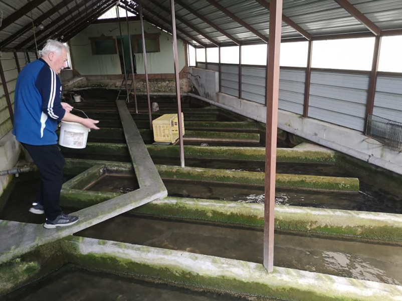 Ribja restavracija, ki jo priporočajo vse Brežice