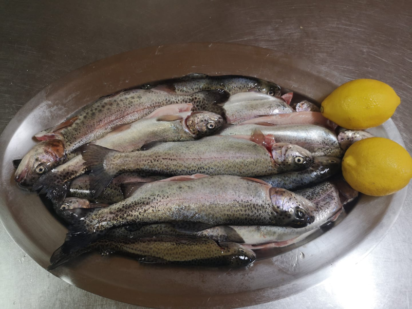 Ribja restavracija Posavje