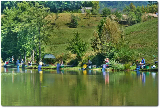 Ribiške družine