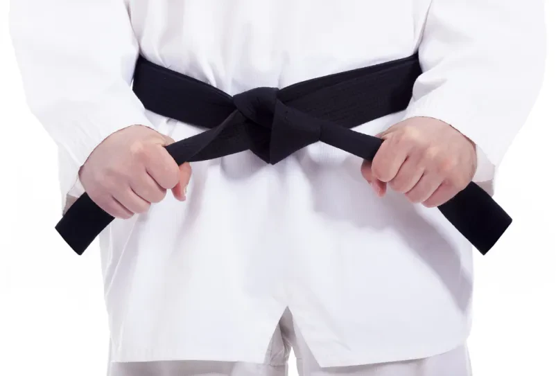 Karate Logatec