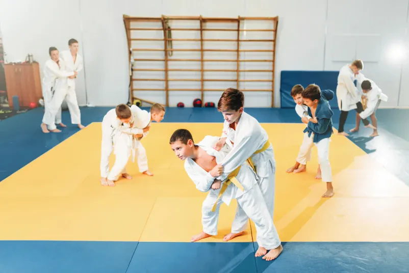 Trening karateja Logatec