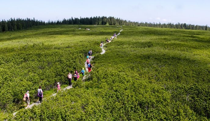 Obiščite turistično kmetijo na Lovrencu, ki nudi prenočišča in jahanje konj v neokrnjeni pohorski naravi