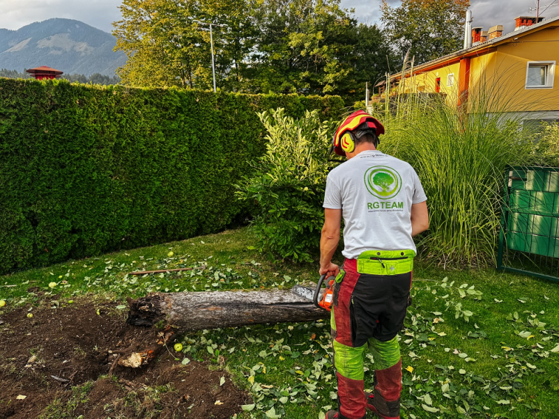 Poceni obrezovanje dreves Gorenjska