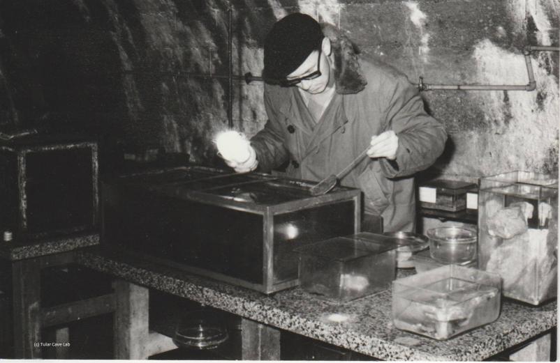 Jamski laboratorij Slovenija