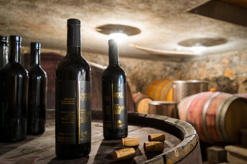 Doživite prave degustacije vina Kras