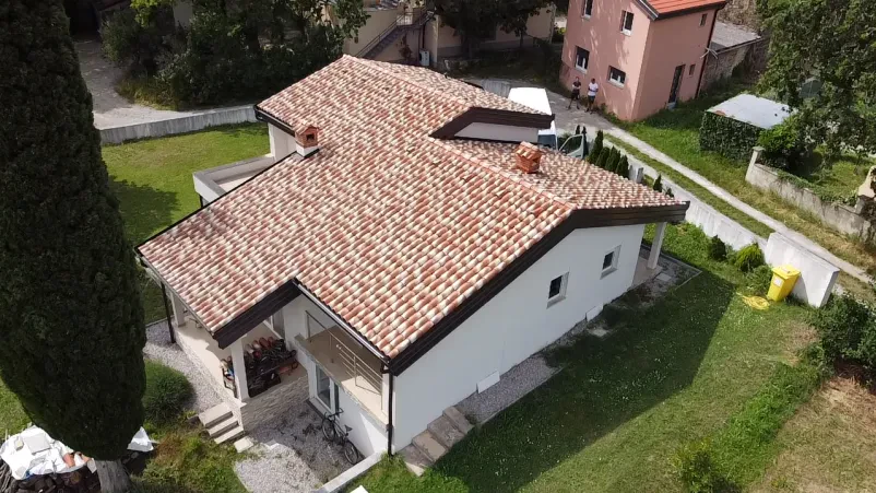 Dober krovec Primorska