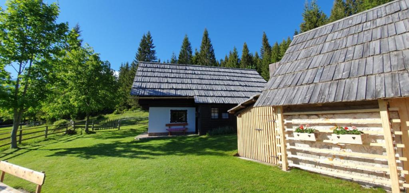 Ferienhaus in Pokljuka mieten