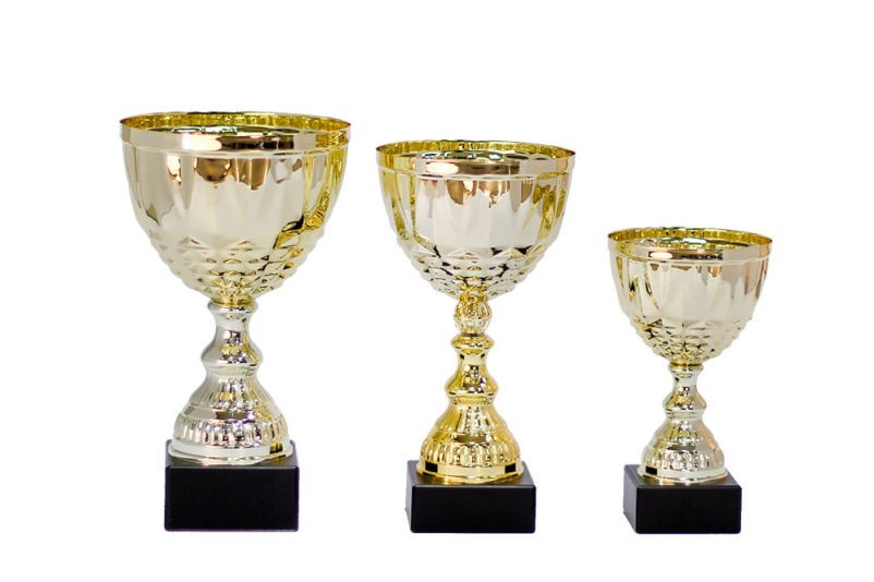 Ugodna izdelava pokalov Gorenjska regija