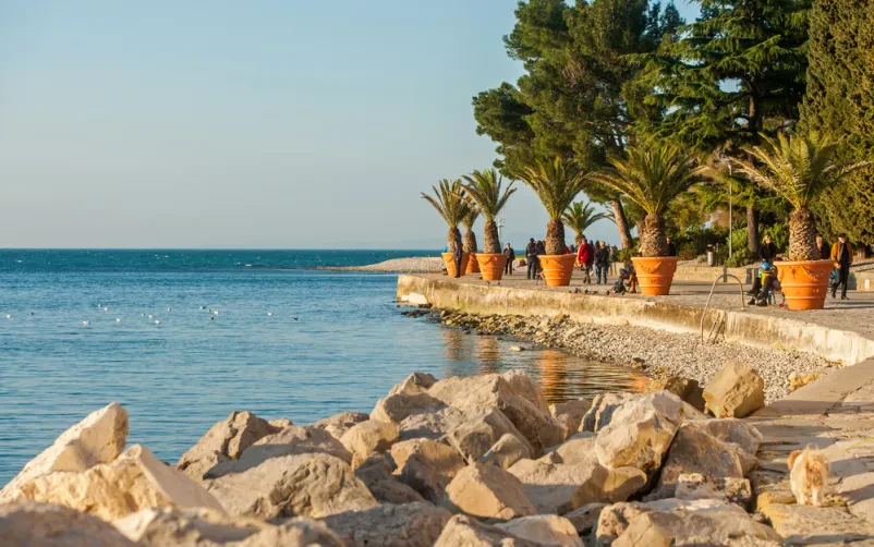 Turistična agencija Koroška