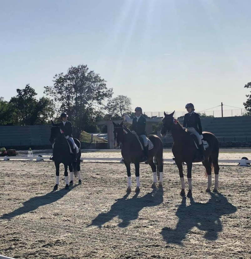 Vpis v šolo jahanja Radomlje