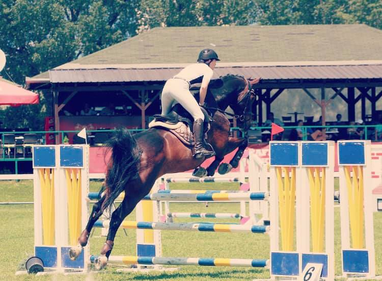 Jahanje za otroke in odrasle v Radomljah