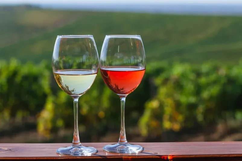 Spletna prodaja vina