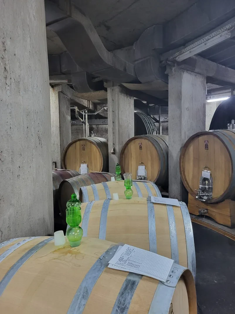 hramba vina