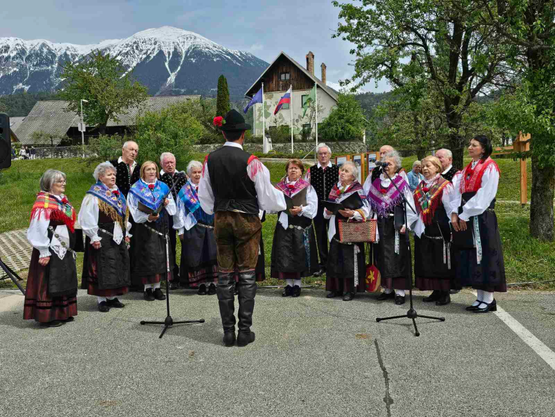 Vpis v kulturno društvo Žirovnica