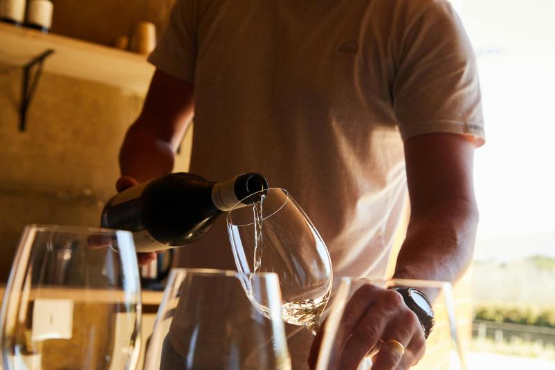 Vpis v Društvo vinogradnikov Gornja Radgona