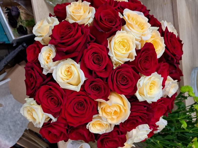 Ugodna cvetličarna Slovenj Gradec