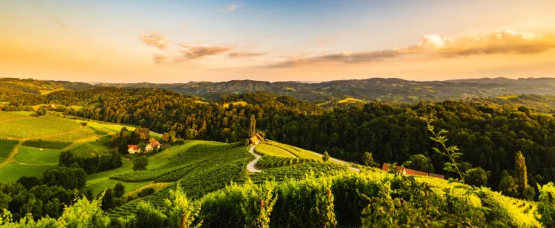 Najboljše belo vino