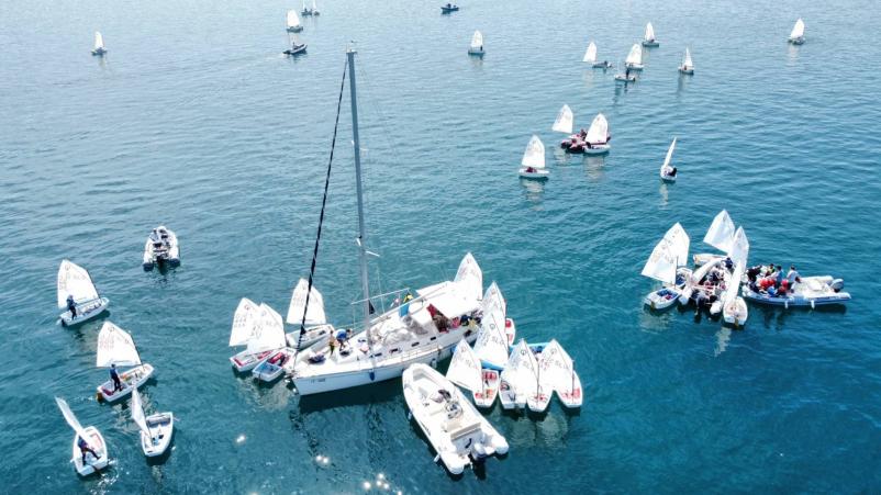 Organizacija regate Obala