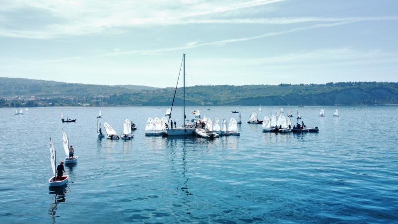 Organizacija jadralske regate Obala