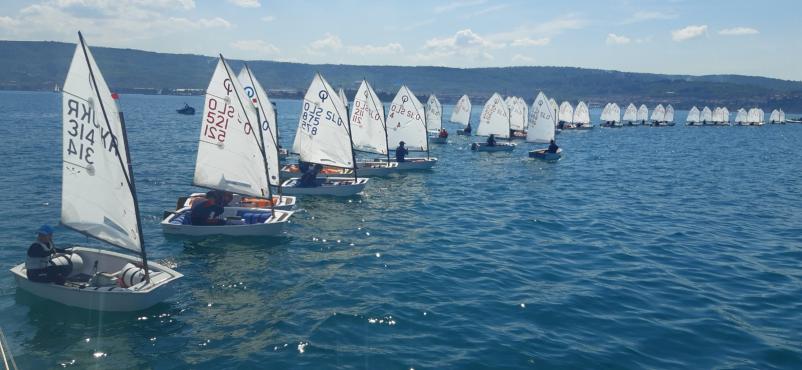 Organizacija regate Izola, Obala