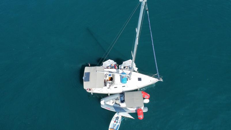 Organizacija regate Slovenska obala