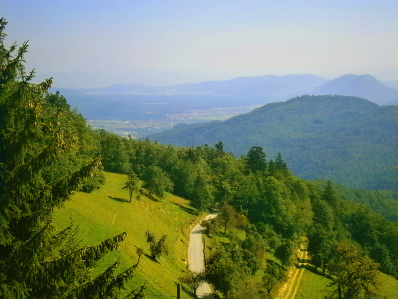 Planinarjenje Celje