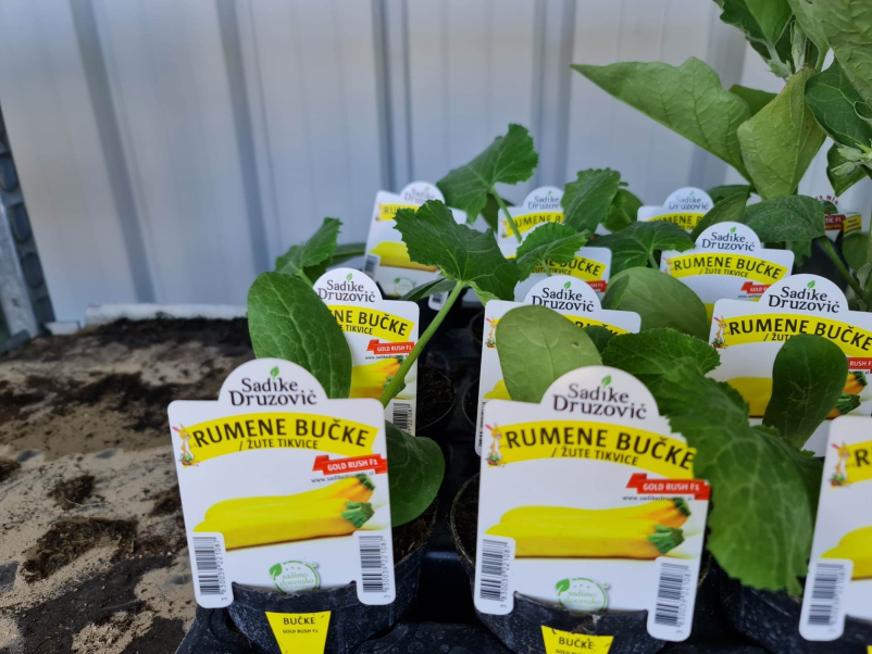 Prodaja sadik Ormož