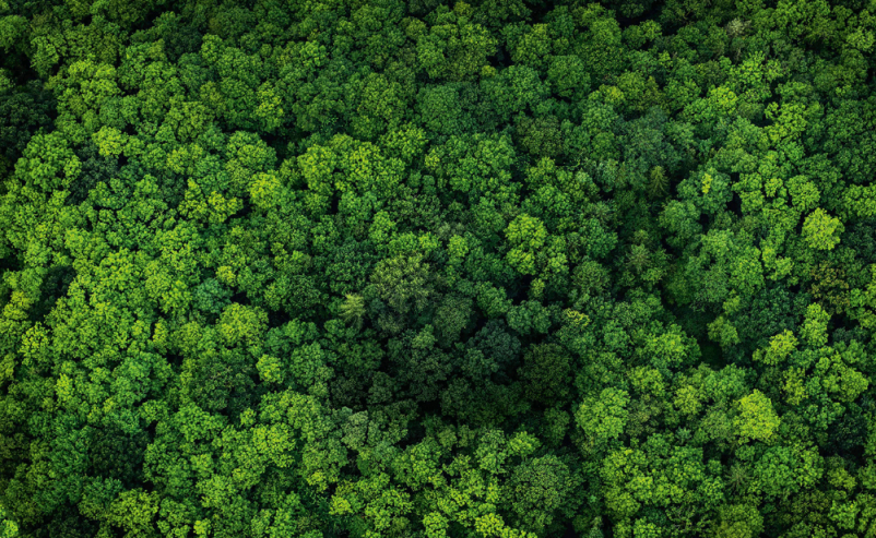 Trajnostne energetske rešitve Slovenija