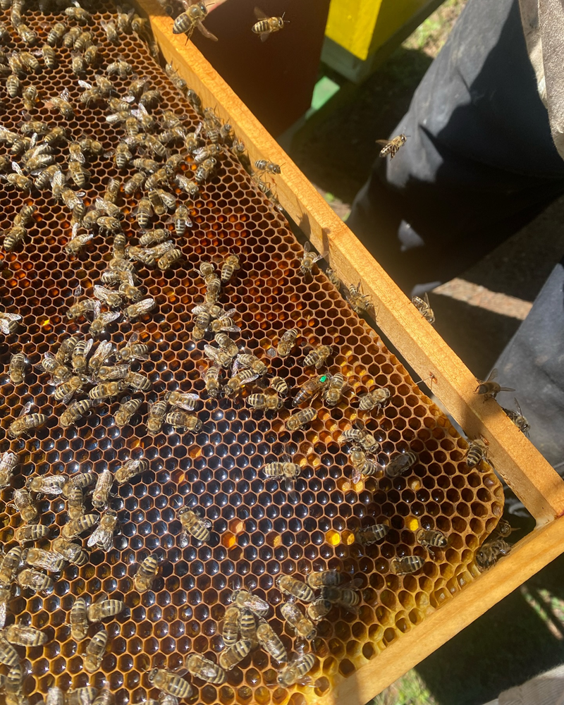 Ugoden medeni darilni program Slovenija lahko naroči pri nas