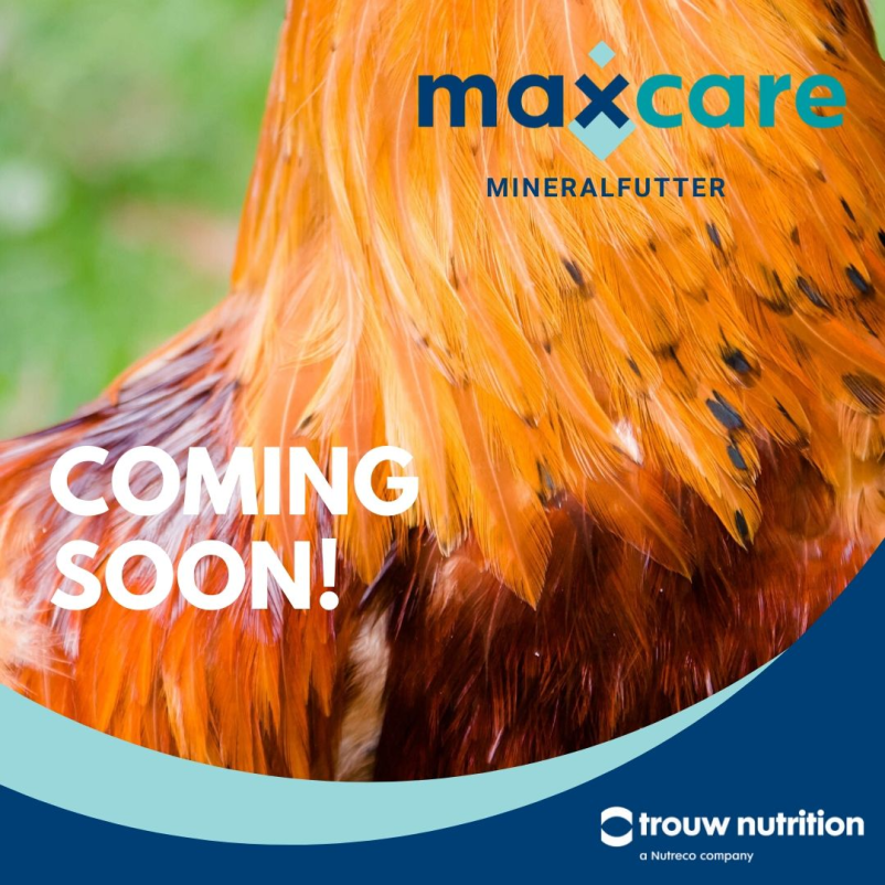 Produkti za perutnino