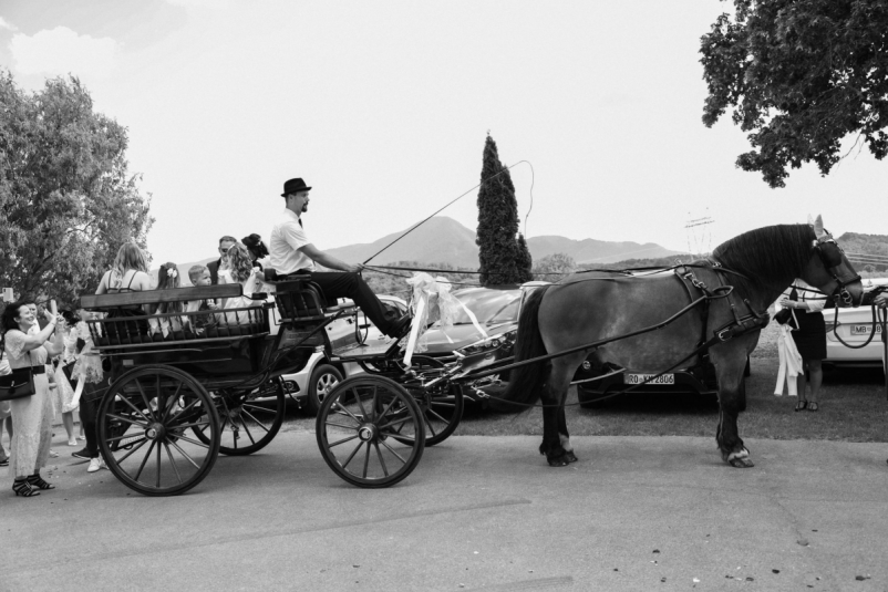 Najem kočije za poroko Maribor, Štajerska