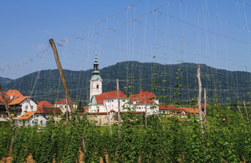 Sveto obhajilo Braslovče