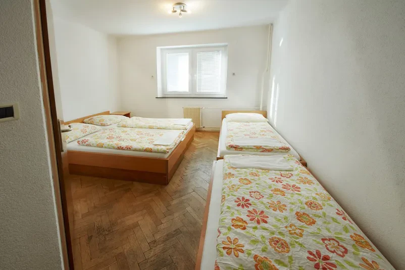 Youth Hostel Kranjska Gora