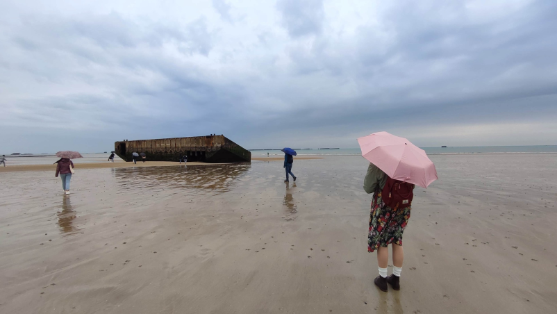 Gimnazijska izobrazba