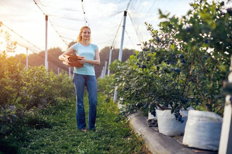 Aktivnosti za podeželske ženske Dobrna