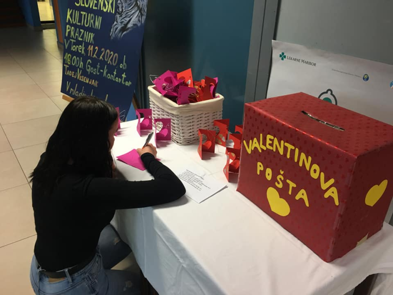 Dijaški dom Maribor, Podravska