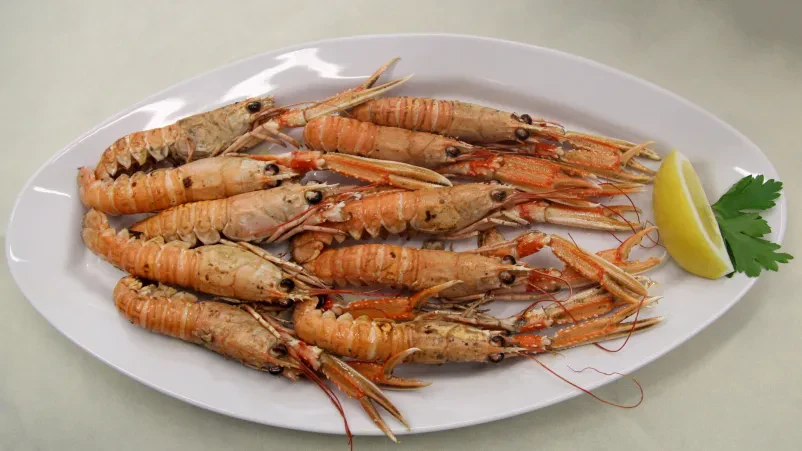 Škampi