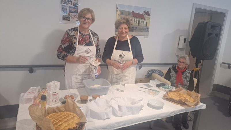 Nega in oskrba starejših Metlika