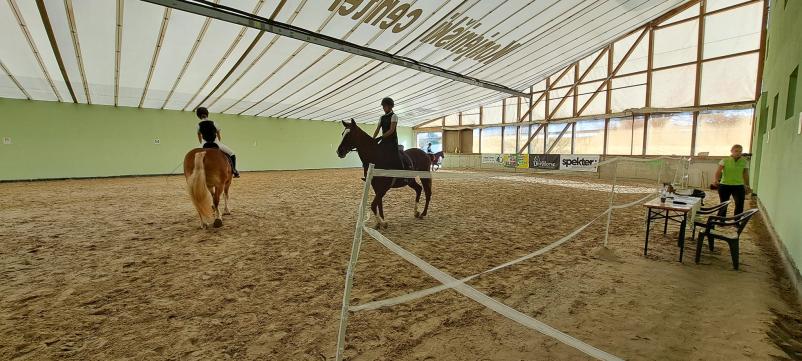 Jahanje konj za odrasle Celje, okolica