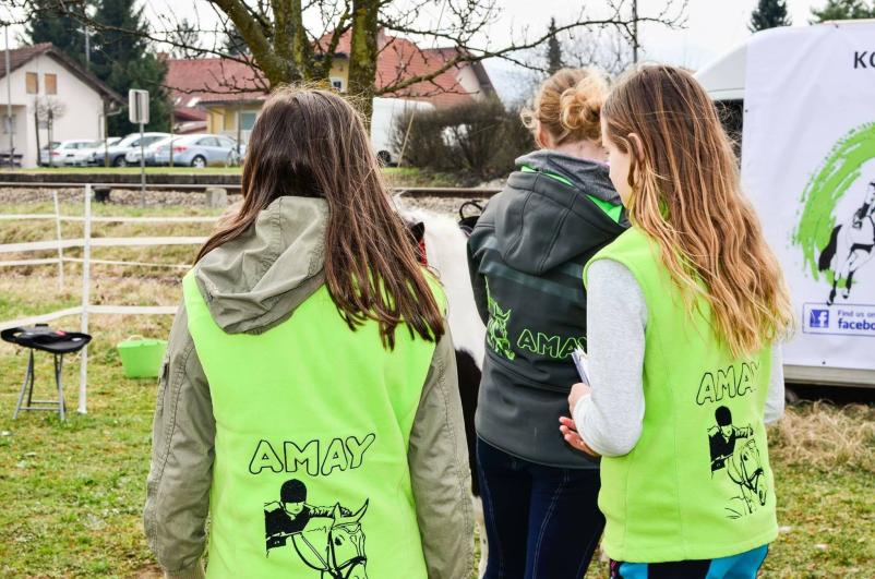 Učenje jahanja konj za otroke in odrasle Celje