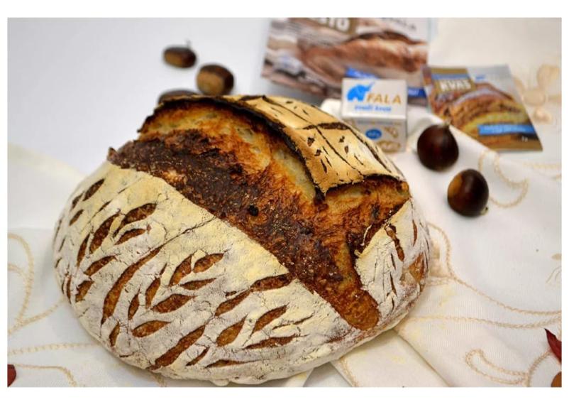 Kislo testo za peko Osrednja Slovenija